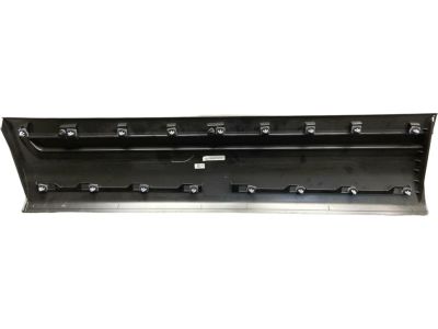 Ford HB5Z-7820878-AA Lower Molding