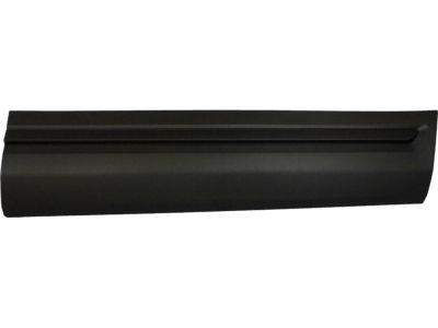Ford HB5Z-7820878-AA Lower Molding