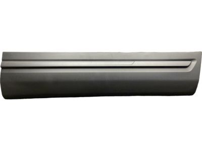 Ford HB5Z-7820878-AA Lower Molding