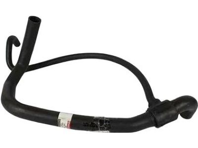 Ford F1VY-8286-B Lower Hose