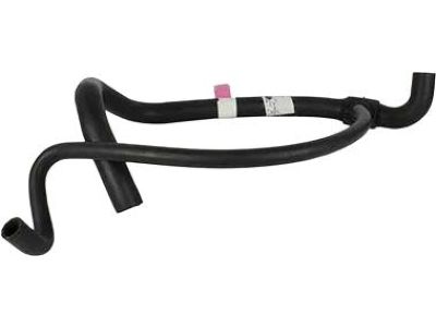 Ford F1VY-8286-B Lower Hose