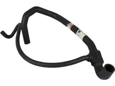 Ford F1VY-8286-B Lower Hose