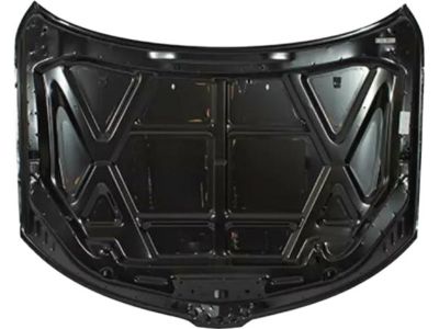Ford 9H6Z-16612-A Hood