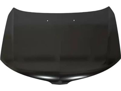 Ford 9H6Z-16612-A Hood
