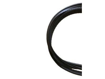Ford XR3Z-6343720-AA Weatherstrip