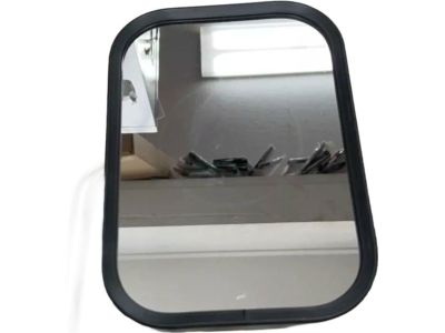 Ford F2UZ-17696-A Mirror Assembly