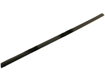 Ford AE8Z-5425596-A Belt Molding