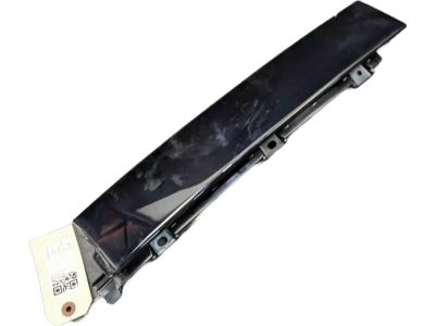 Ford CJ5Z-78255A35-AB Applique