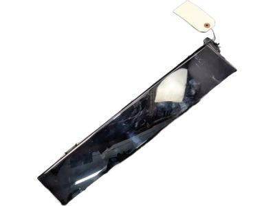 Ford CJ5Z-78255A35-AB Applique