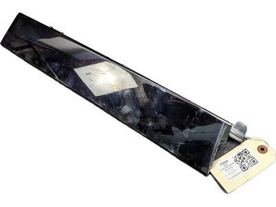 Ford CJ5Z-78255A35-AB Applique