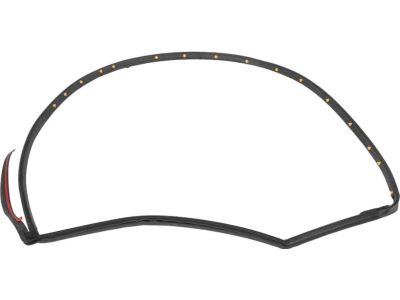 Ford YL3Z-1521452-AA Belt Weatherstrip