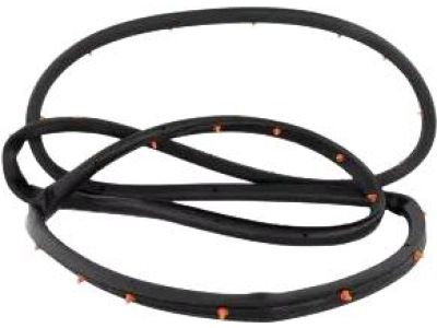 Ford FT4Z-5820531-A Door Weatherstrip