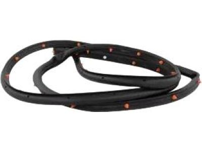 Ford FT4Z-5820531-A Door Weatherstrip