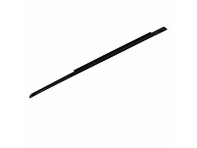 Ford CT4Z-7825597-B Belt Weatherstrip