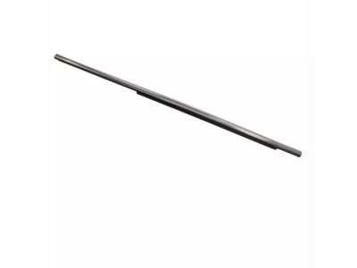 Ford CT4Z-7825597-B Belt Weatherstrip