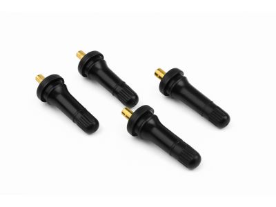 Ford 9L3Z-1700-AA KIT - VALVE