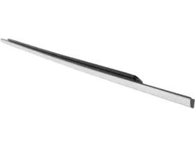 Ford FT4Z-5821452-E Belt Molding