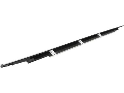 Ford FT4Z-5821452-E Belt Molding