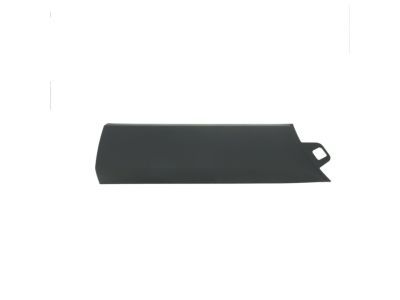 Ford BK3Z-6120939-B Side Molding