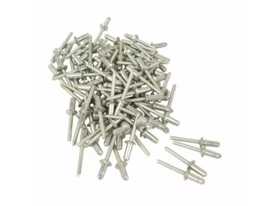 Ford -W702554-S900C Floor Rivet