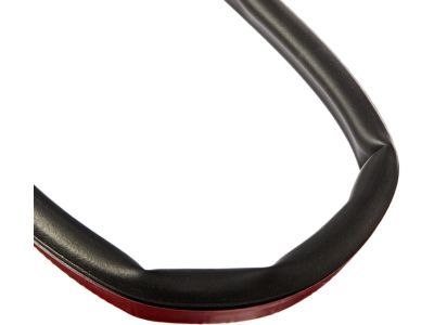 Ford F2UZ-1520518-C Body Weatherstrip