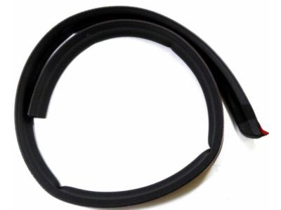 Ford F2UZ-1520518-C Body Weatherstrip