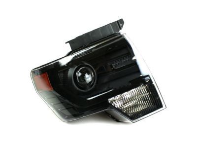 Ford DL3Z-13008-DB Composite Headlamp