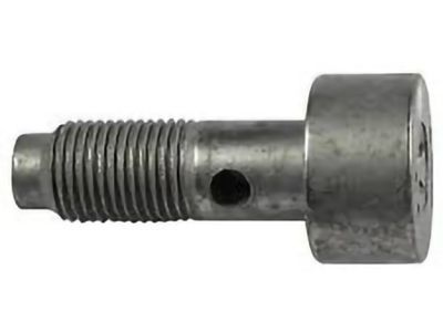 Ford AA5Z-00812-AB Oil Tube Bolt