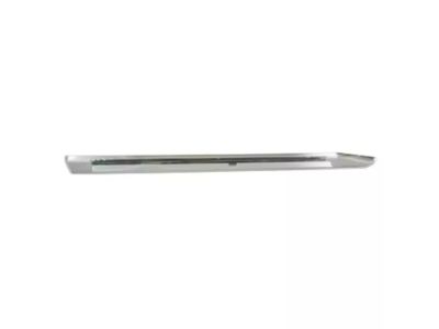 Ford BM5Z-58255A62-A Molding