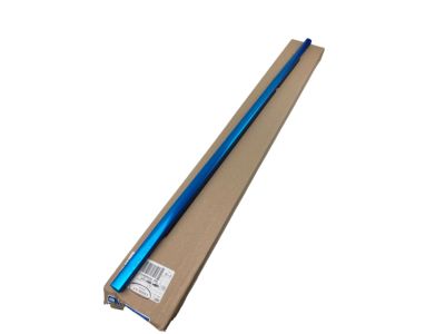 Ford JL1Z-7825596-A Belt Molding