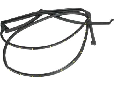 Ford AE9Z-7425324-A Door Weatherstrip