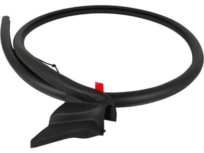Ford FR3Z-7620709-A Weatherstrip On Body