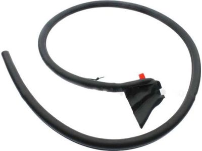 Ford FR3Z-7620709-A Weatherstrip On Body