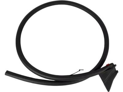 Ford FR3Z-7620709-A Weatherstrip On Body