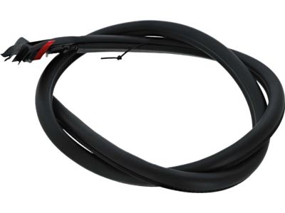 Ford FR3Z-7620709-A Weatherstrip On Body