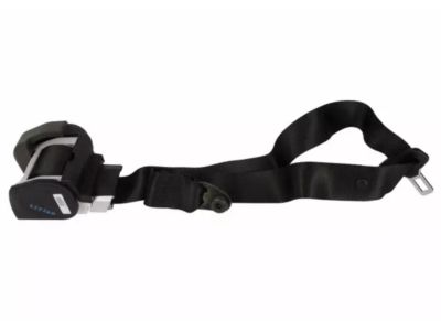 Ford CK4Z-14611B68-AA Outer Belt Assembly