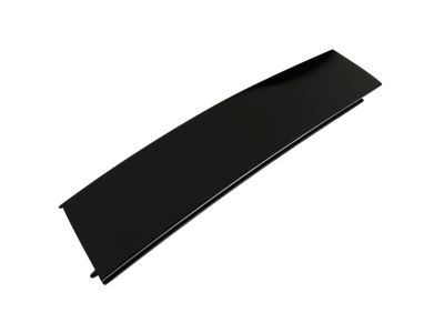 Ford FL3Z-1520554-BD MOULDING - DOOR OUTSIDE