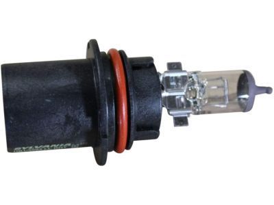 Ford E5LY-13N021-A Bulb & Retainer