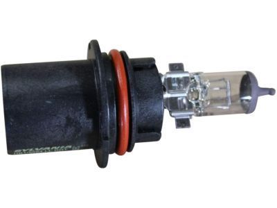 Ford E5LY-13N021-A Bulb & Retainer