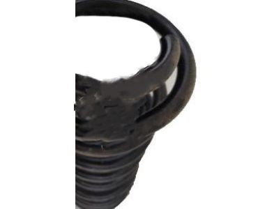 Ford 5R3Z-5560-BA Coil Spring