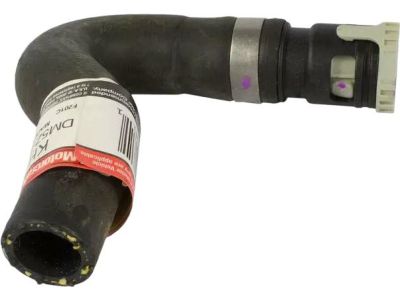 Ford DM5Z-18N345-C Heater Hose