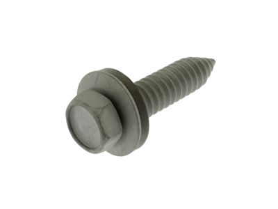 Ford -W713232-S439 Side Rail Screw