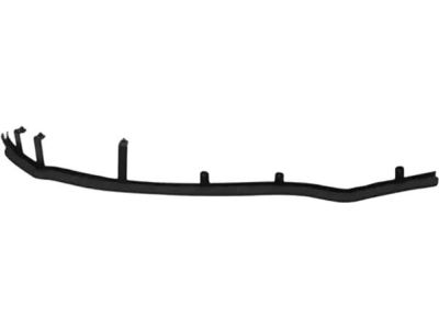 Ford DS7Z-5425325-B Front Weatherstrip