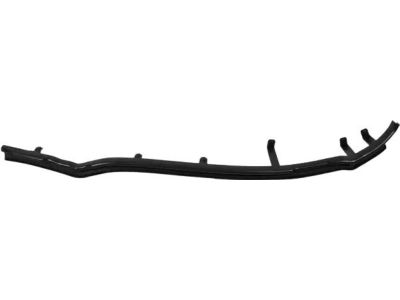 Ford DS7Z-5425325-B Front Weatherstrip