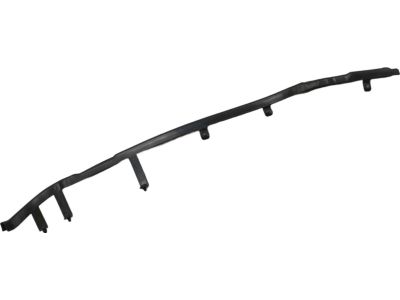 Ford DS7Z-5425325-B Front Weatherstrip