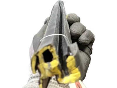 Ford AE9Z-7420758-A Lower Weatherstrip