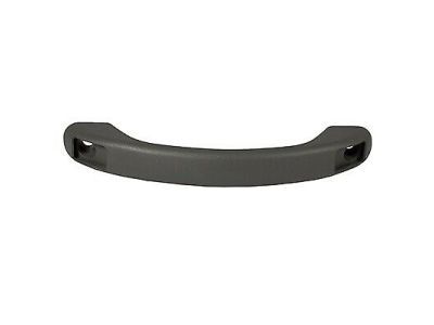 Ford 2C7Z-1031406-AAA Grip Handle