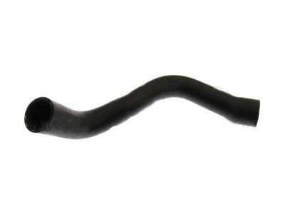 Ford D9ZZ-8286-E Lower Hose