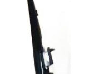 Ford FR3Z-6321453-E Belt Weatherstrip