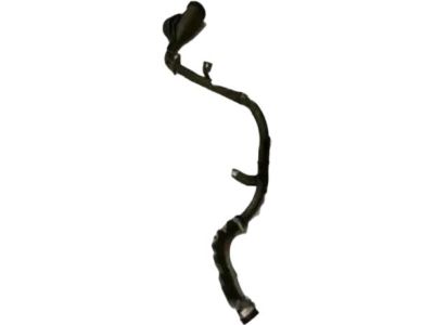 Ford FR3Z-9034-D Pipe - Fuel Filler